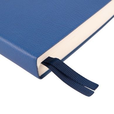 Ежедневник А5 Leo Planner датированный 2025 Dignity синий 368 стр 252533 фото