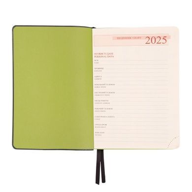 Ежедневник А5 Leo Planner датированный 2025 Infinity темно серый 368 стр 252534 фото