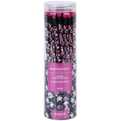 Олівець графітний Axent 9009, HB, туба, Floral Black 9009/36-14-a фото