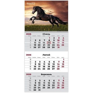 Календарь настенный квартальный 2026 Axent Horses 1 8801-26-14-A, 1 пружина 8801-26-14-a фото