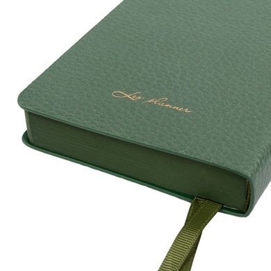 Ежедневник Leo Planner Flow А6 датированный 2027 мягкий зеленый 352 страницы 252791 фото