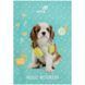 Зошит для нот Kite Studio Pets SP26-404, A4, 20 аркушів SP26-404 фото 1