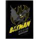 Щоденник шкільний Kite DC Comics DC25-262-1, тверда обкладинка