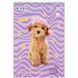 Зошит для малювання Kite Studio Pets SP25-243, 30 аркушів SP25-243 фото 5