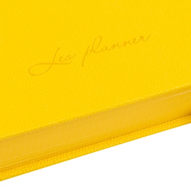 Ежедневник 12x20см Leo Planner датированный 2024 Tiffany желто голубой 252408 фото