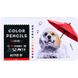 Олівці кольорові тригранні Kite Dogs K22-058-1, 12 кольорів, металевий пенал K22-058-1 фото 1