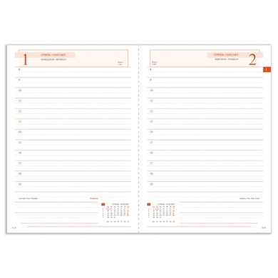 Ежедневник А6 Leo Planner датированный 2024 Aria 252458 фото