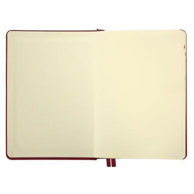 Щоденник-діловий записник А5 Leo Planner датований 2026 "Persona", твердий, бордовий, 368 сторінок (252663) 252663 фото