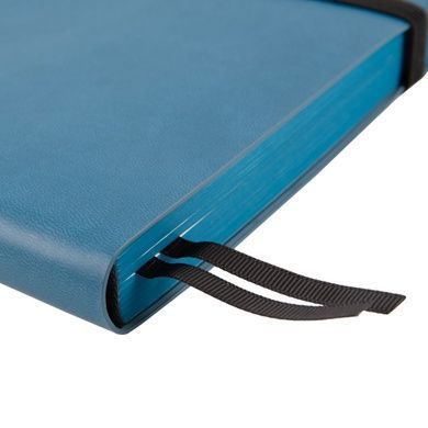 Ежедневник А5 Leo Planner датированный 2025 Binario синий 368 стр 252540 фото