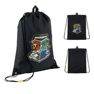 Шкільний набір Kite Harry Potter SET_HP24-700M (рюкзак, пенал, сумка) SET_HP24-700M фото