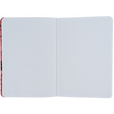 Книга записна Axent Fish 8700-1-A, А5, 80 аркушів, клітинка, червоно-зелена 8700-1-A фото