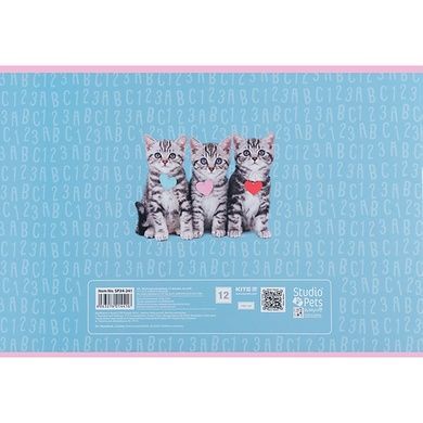 Тетрадь для рисования Kite Studio Pets SP24-241, 12 листов SP24-241 фото