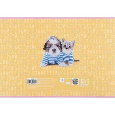Тетрадь для рисования Kite Studio Pets SP24-241, 12 листов SP24-241 фото
