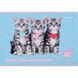 Тетрадь для рисования Kite Studio Pets SP24-241, 12 листов SP24-241 фото 9