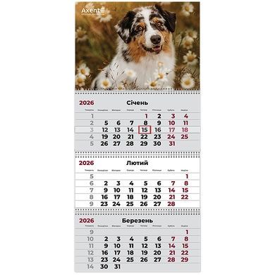 Календарь настенный квартальный 2026 Axent Dogs 1 8803-26-16-A, 3 пружины 8803-26-16-a фото