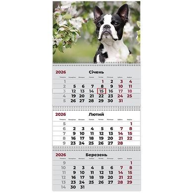 Календарь настенный квартальный 2026 Axent Dogs 2 8803-26-17-A, 3 пружины 8803-26-17-a фото