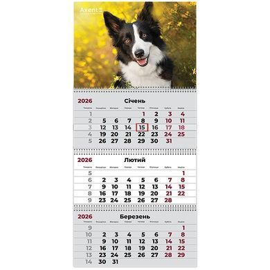 Календарь настенный квартальный 2026 Axent Dogs 3 8803-26-18-A, 3 пружины 8803-26-18-a фото